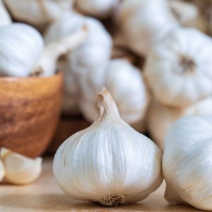 Garlic