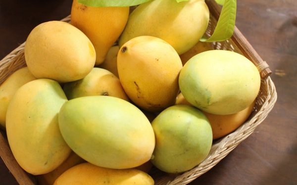 Mango
