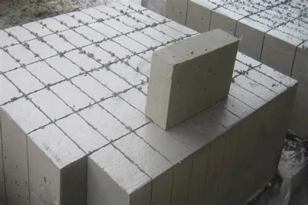 Fly Ash Bricks