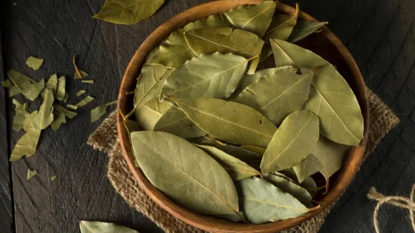 Bay Leaves