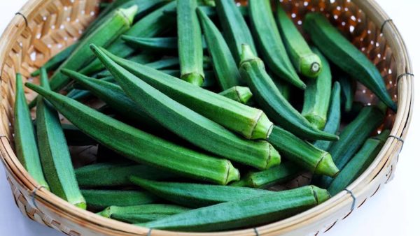 Okra